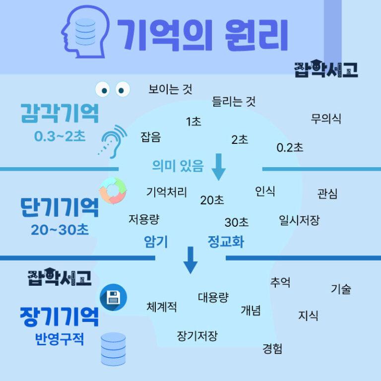 기억의 개념과 기억 방법 - 감각, 단기, 장기기억 | 잡학서고
