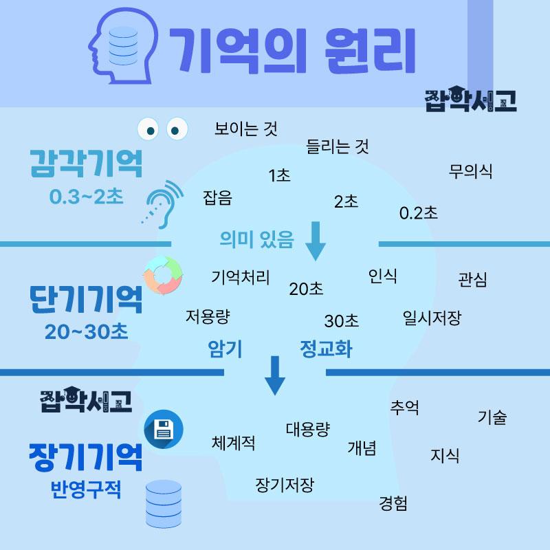 记忆原理与概念图