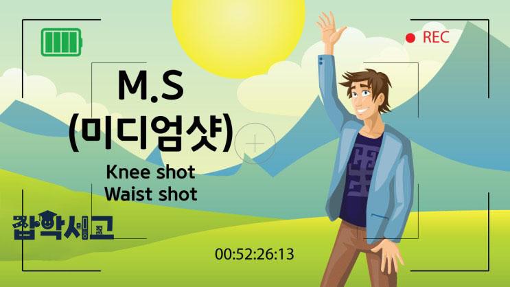 A medium shot that can show a lively image