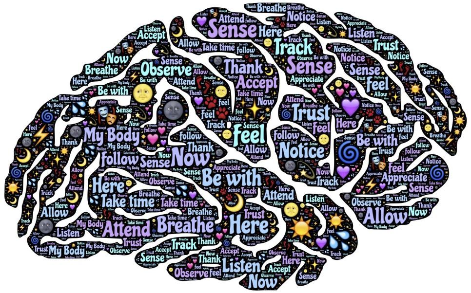 Thoughts That Become Complicated When Left Unorganized