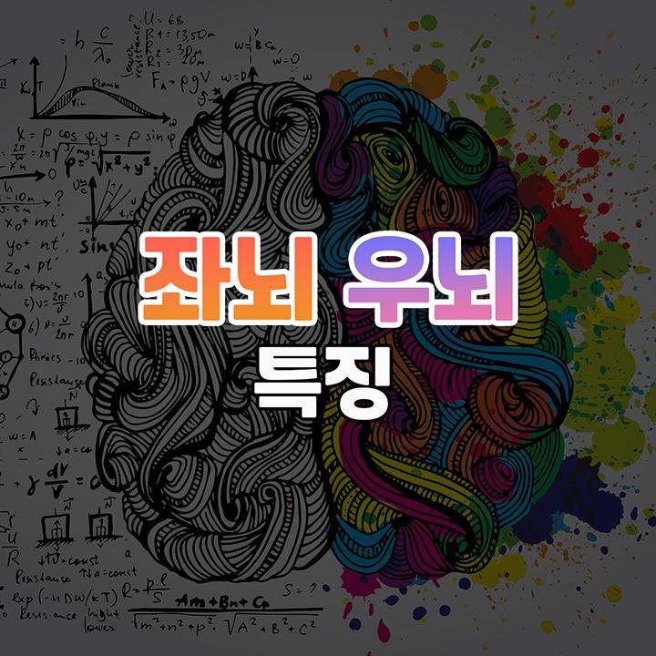 좌뇌, 우뇌의 기능과 특징 비교(좌뇌형 인간과 우뇌형 인간) | 잡학서고