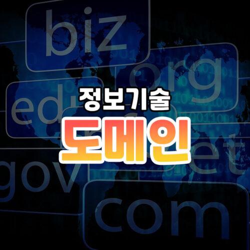 도메인 네임 종류