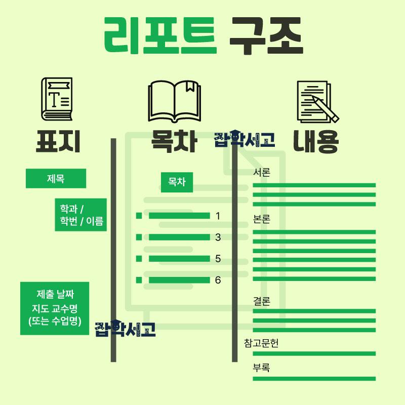 报告的结构