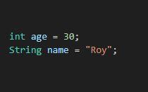 Variable Usage Example