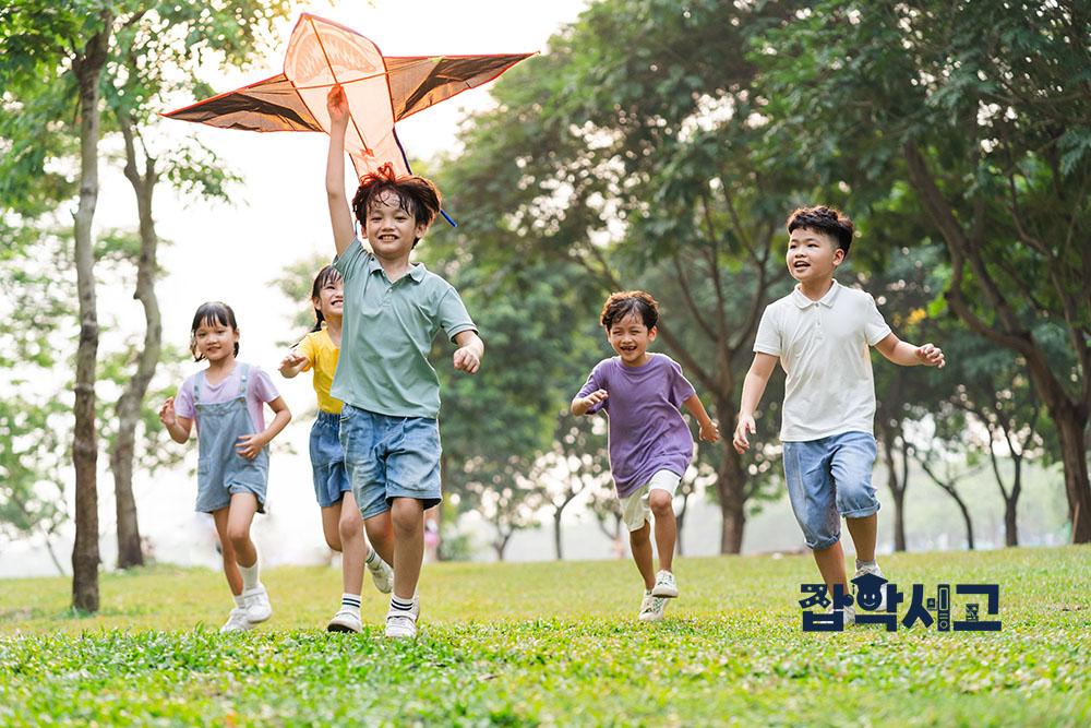 Three Categories of Child Welfare Programs Based on Their Characteristics