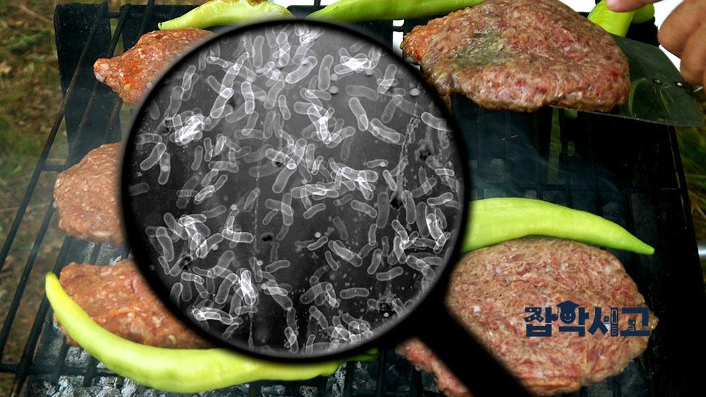 食物中毒的原因是什么？