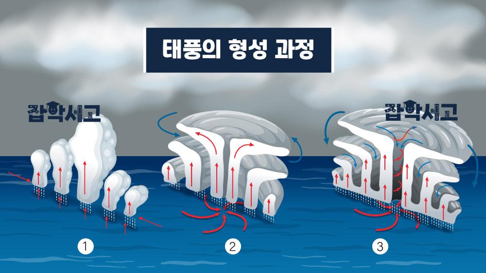 How does a typhoon form?