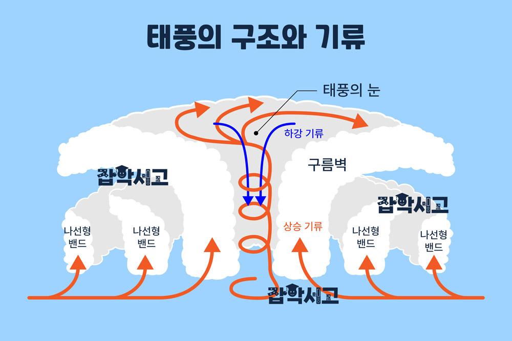 The internal structure of a typhoon