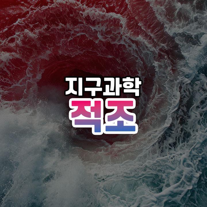 바다의 붉은 경고 - 적조 현상의 원인과 대응 전략 | 잡학서고