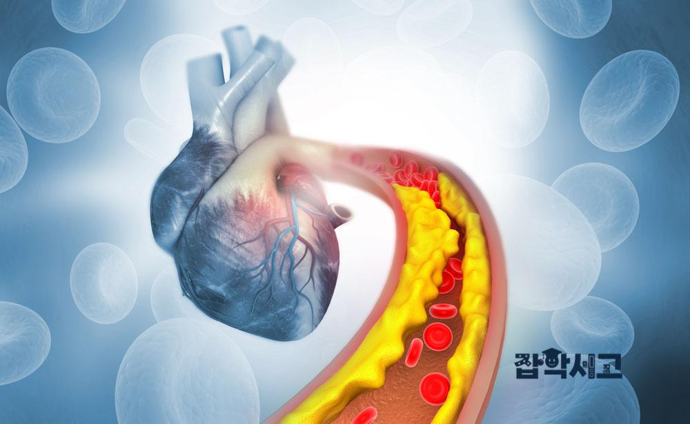 How does cholesterol affect our bodies?