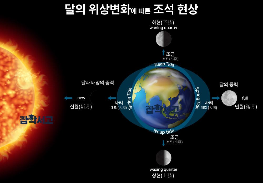 조석(간조/만조)현상의 원리 및 물때 보는 법 | 잡학서고