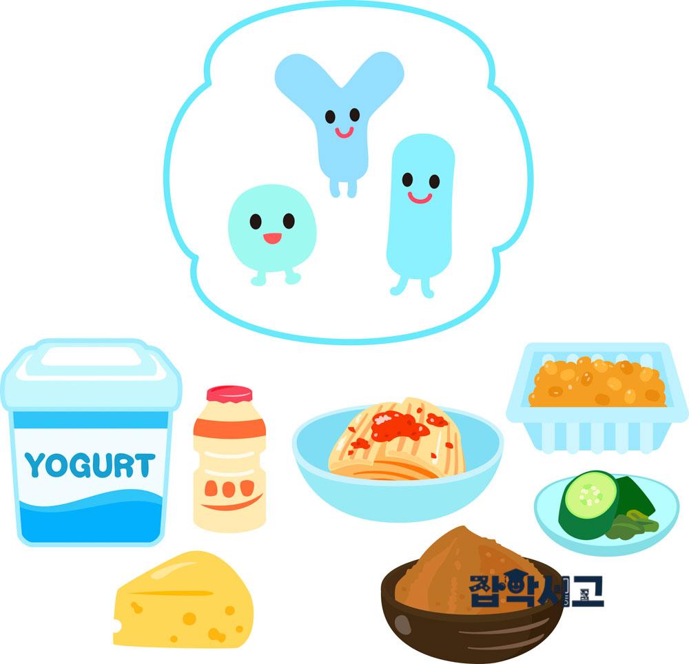 Which foods contain abundant lactic acid bacteria?