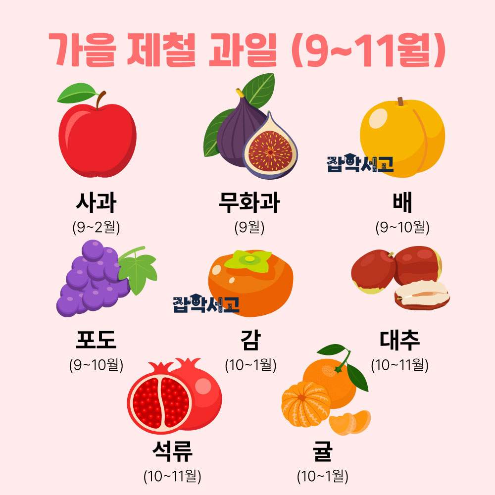 Autumn seasonal fruits (September–November)
