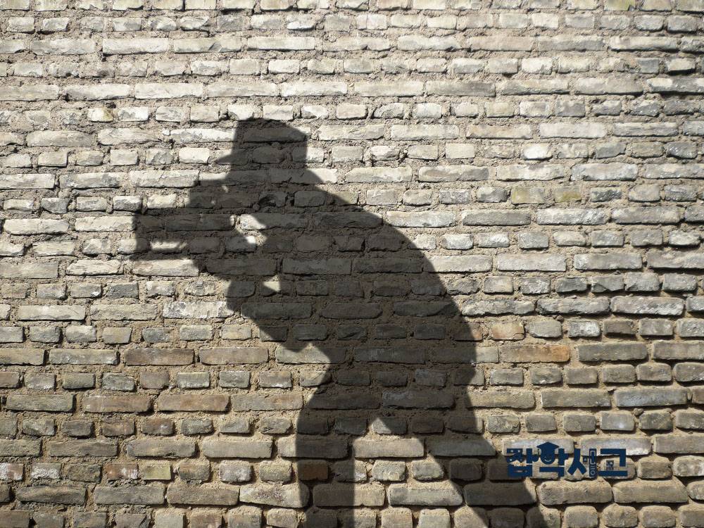What Difficulties Does Investigative Reporting Face?