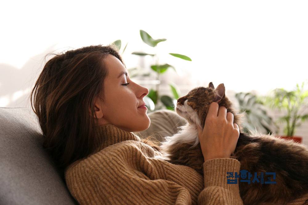 How do cats interact socially?
