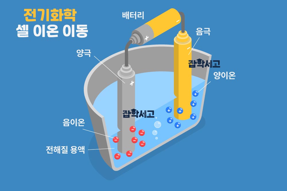 电化学电池中的离子移动