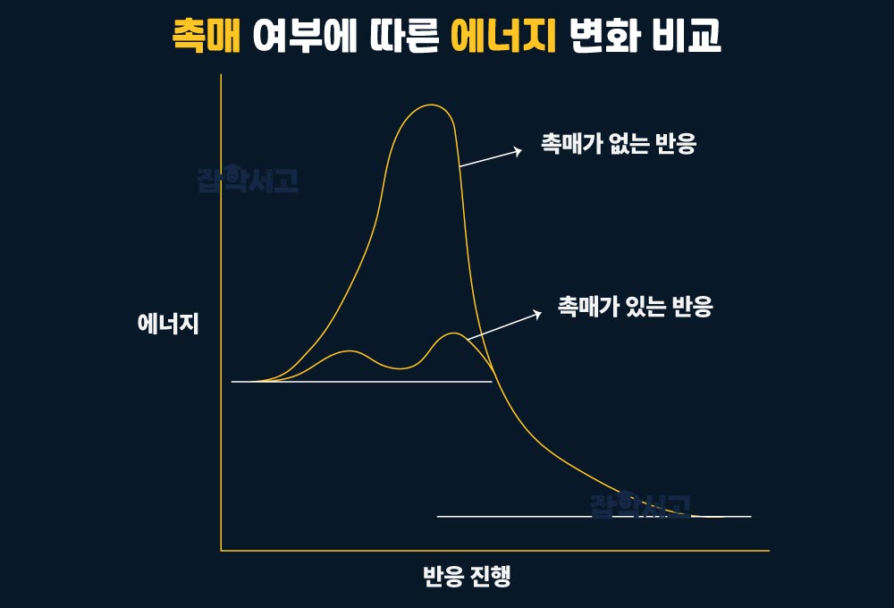 催化剂的基本原理是什么?