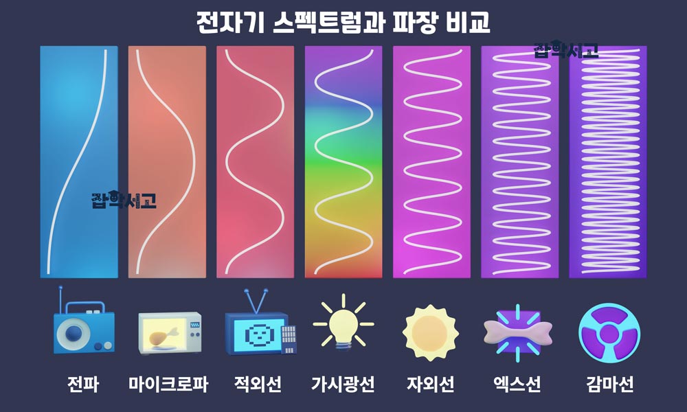 Comparison of wavelengths in the electromagnetic spectrum