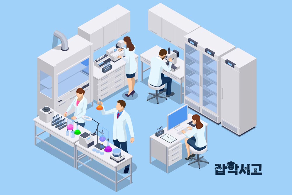 What Is the Process of New Drug Development and Clinical Trials?