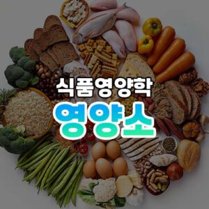 영양소 썸네일