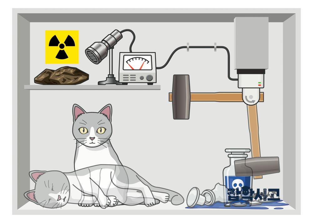 Schrödinger's Cat Thought Experiment
