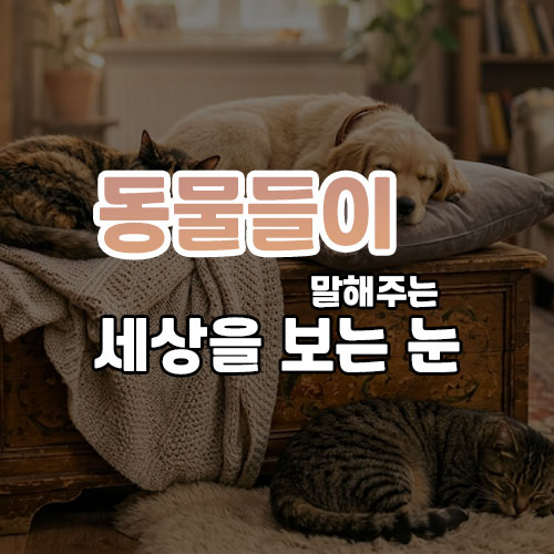동물들이 말해주는 세상을 보는 눈