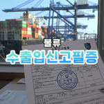 Import/Export Declaration Certificate Thumbnail