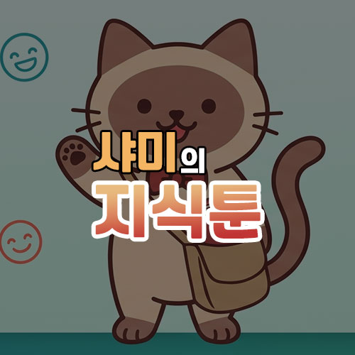 샤미의 지식툰