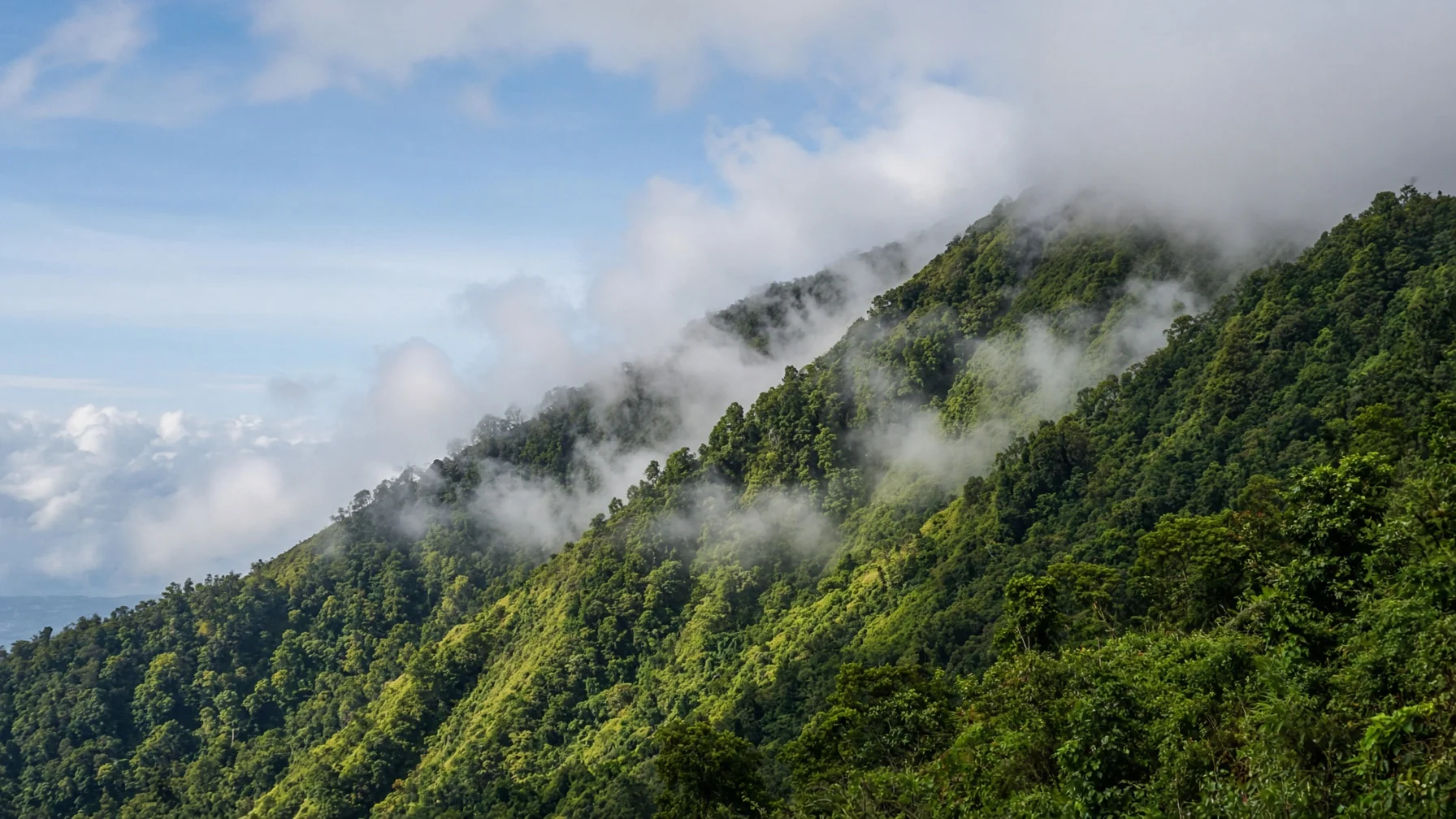 A bright daytime landscape where moist clouds seem to be forced up a green mountainside and condense