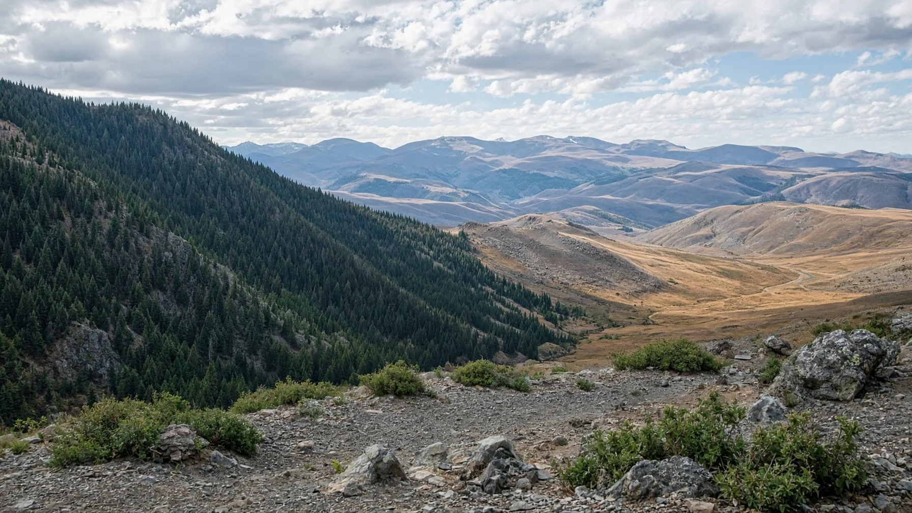 A view from a mountain pass where one side is a humid forested slope and the other leads down to a drier plain