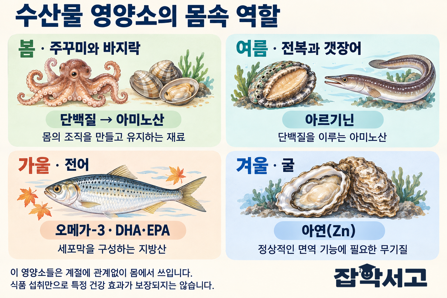 タンパク質とアミノ酸、DHAとEPA、亜鉛の一般的な生理的役割を、季節の水産物の例とともに説明した図