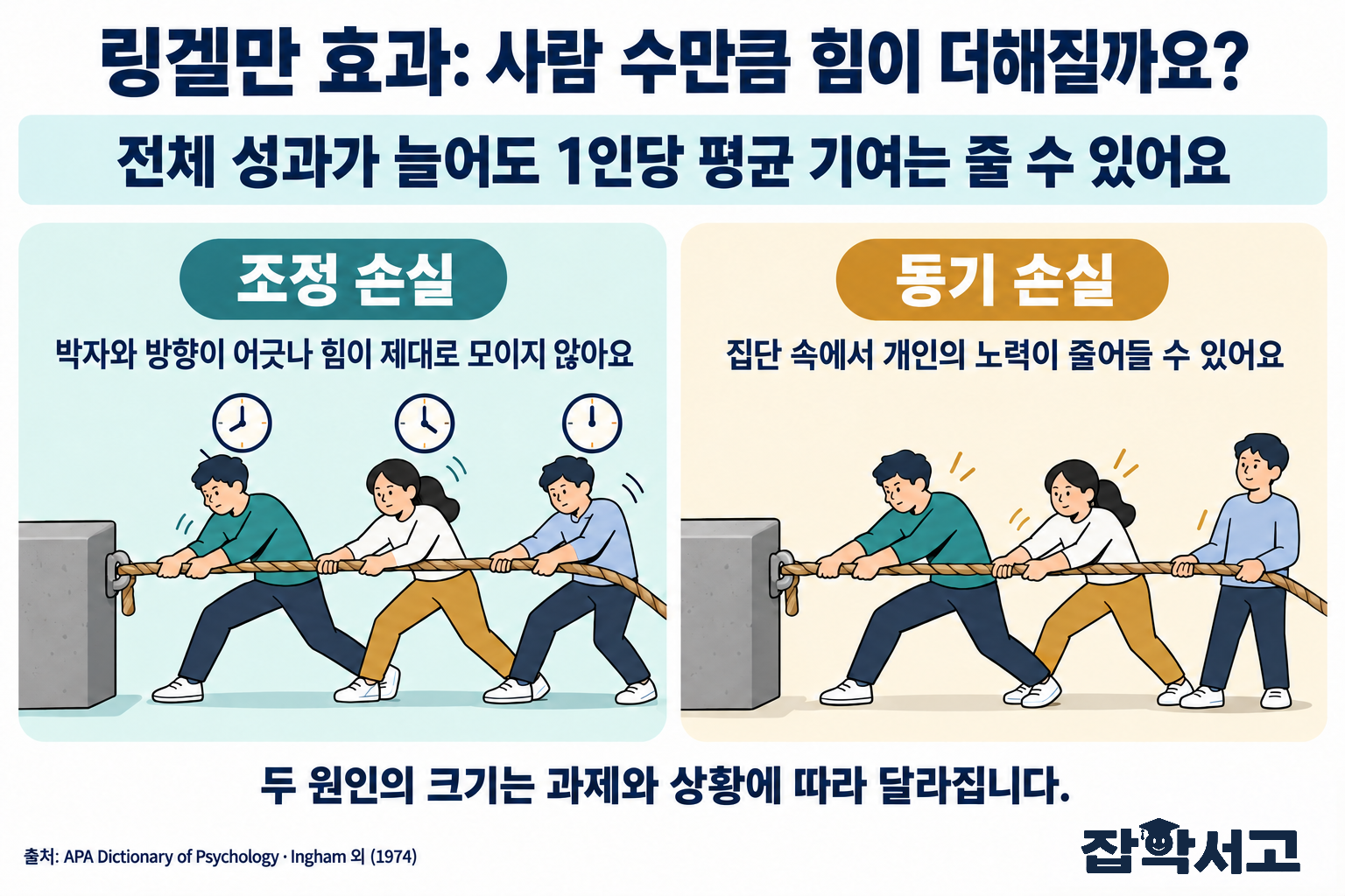 解释林格尔曼效应的信息图。图中指出总体成绩即使增加，人均贡献也可能减少，并将朝着同一目标拉绳却节奏不一的协调损失，与群体中个人努力可能减少的动机损失并列展示。两种原因的大小因任务和情境而异。