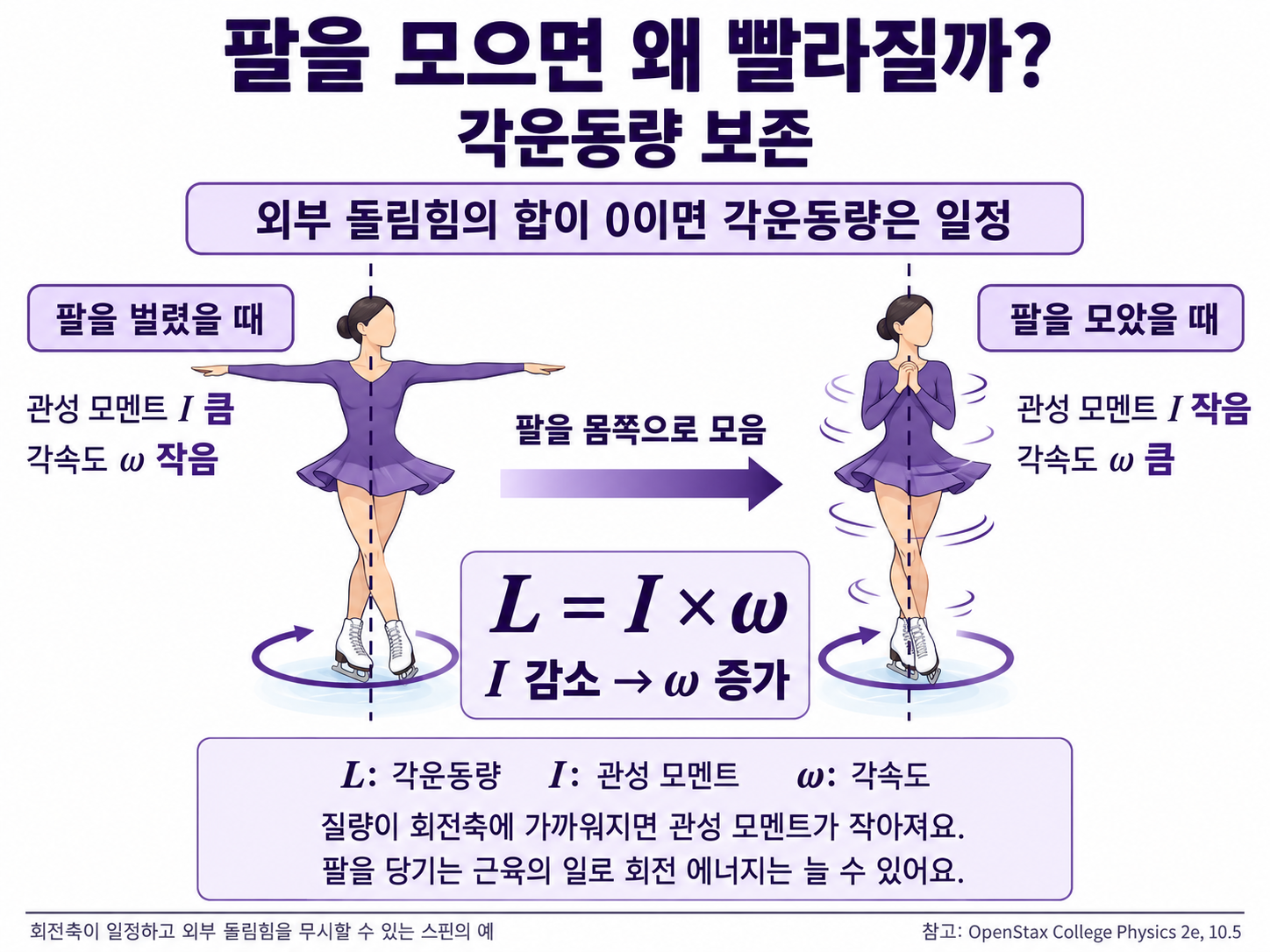 외부 돌림힘의 합이 0일 때 각운동량 L=I×ω가 보존되는 원리. 팔을 벌리면 관성 모멘트가 크고 각속도가 작으며, 팔을 모으면 관성 모멘트가 작아지고 각속도가 커진다. 팔을 당기는 근육의 일로 회전 에너지는 증가할 수 있다.