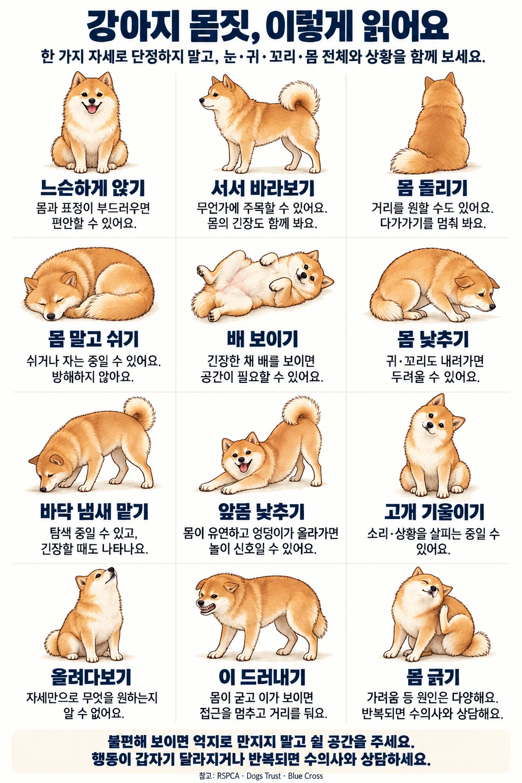 강아지의 12가지 자세를 몸 전체와 상황에 따라 해석하는 안내. 배 보이기, 몸 돌리기, 냄새 맡기, 긁기 등을 특정 감정으로 단정하지 않고 불편한 개에게 공간을 주도록 설명한다.
