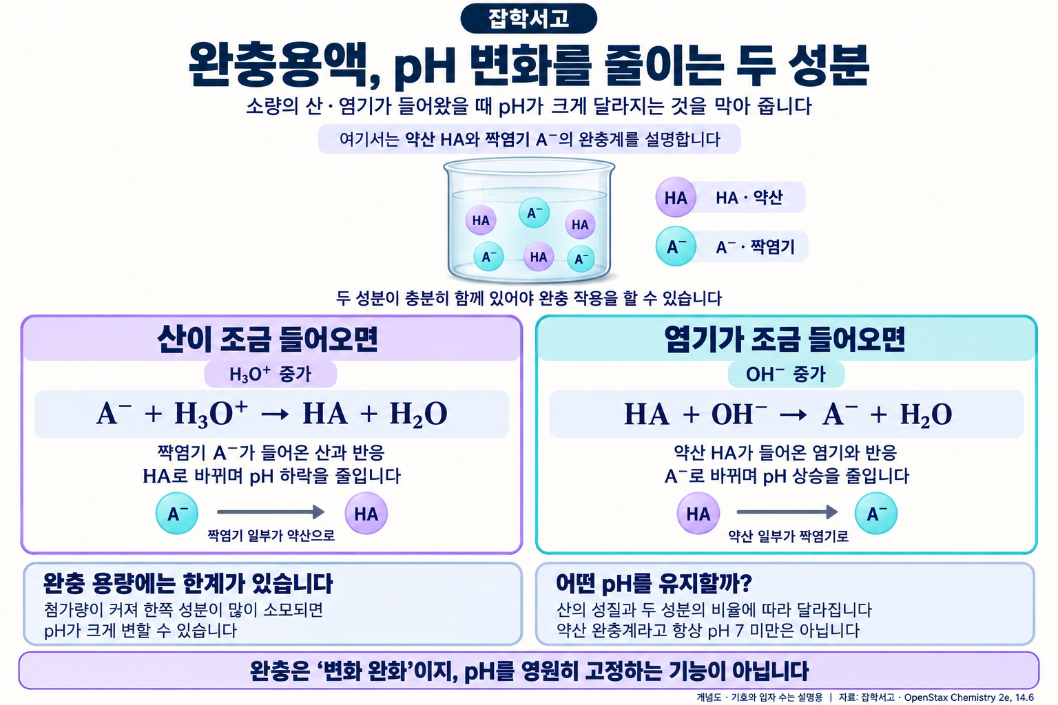 완충용액 개념 인포그래픽. 약산 HA와 짝염기 A⁻가 함께 있는 용액에서 산이 첨가되면 A⁻가 H₃O⁺와 반응해 HA와 물이 되고, 염기가 첨가되면 HA가 OH⁻와 반응해 A⁻와 물이 되는 반응식을 보여준다. 두 성분의 유한한 양이 pH 변화를 줄이며, 첨가량이 커지면 완충 능력이 줄어들 수 있음을 설명한다. 약산 완충계가 항상 pH 7 미만은 아니라는 점을 명시한다.