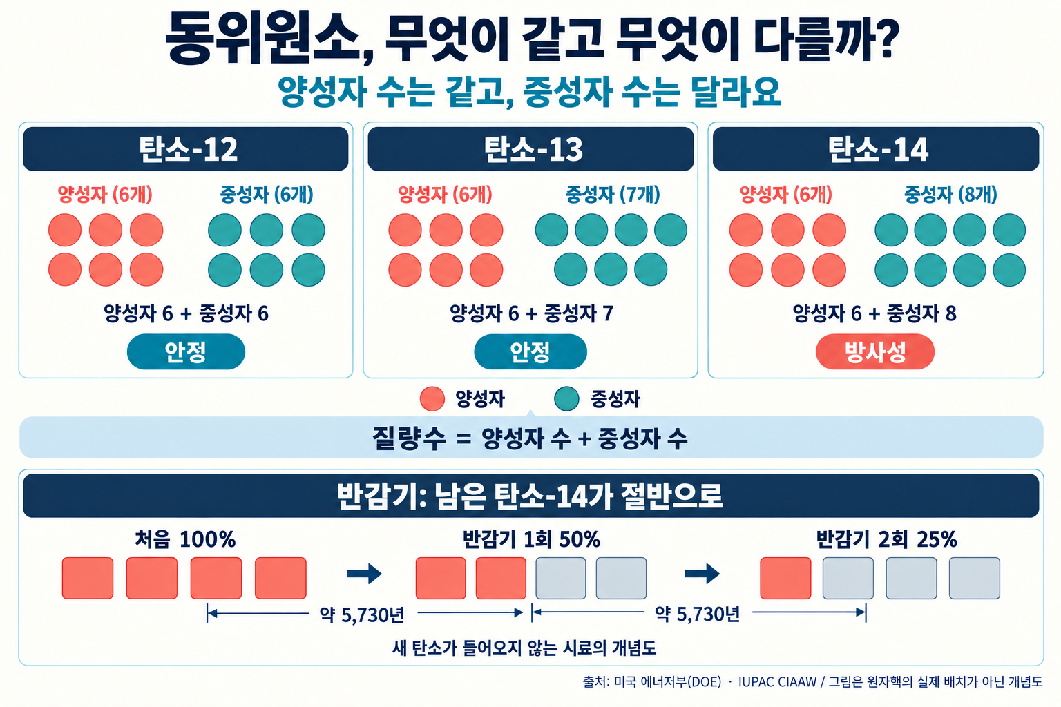 炭素12・13・14はいずれも陽子が6個で、中性子はそれぞれ6・7・8個。炭素12と13は安定で、炭素14は放射性である。半減期約5,730年ごとに残る炭素14が100%、50%、25%へと減っていく説明図。