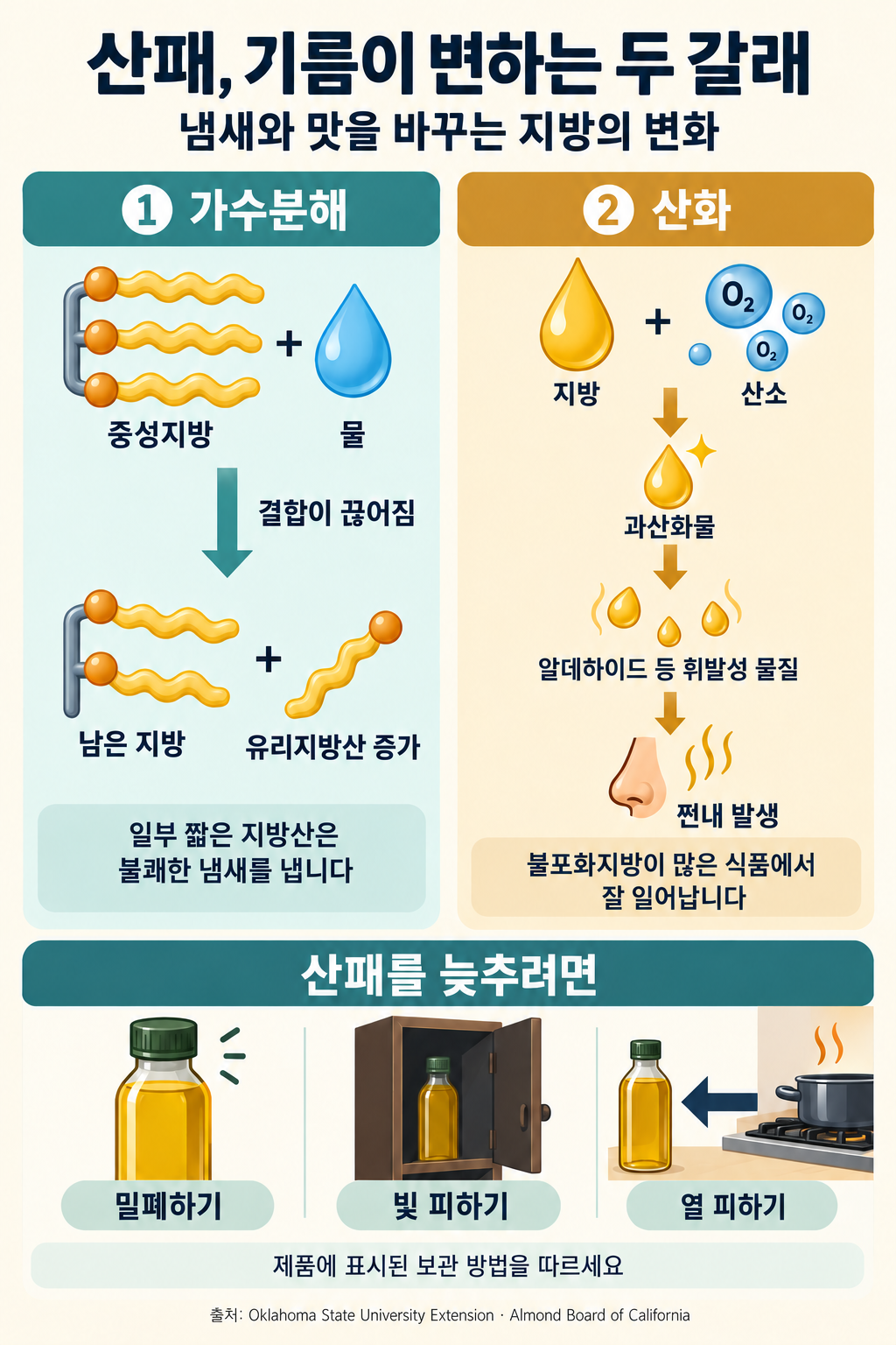 A diagram comparing hydrolysis, in which triglycerides react with water and free fatty acids increase, with oxidation, in which fats react with oxygen and pass through peroxides to form odor compounds. Sealing oil and keeping it away from light and heat can slow rancidity.