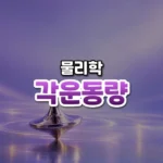 팔을 모으면 빨라지는 비밀, 각운동량 보존(Conservation of Angular Momentum)