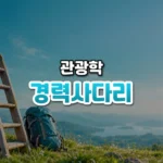 경력사다리 썸네일: 화면 아래쪽 풀밭에 나무 사다리 밑동과 배낭이 놓이고 청록빛이 위로 번져 가운데·위쪽에 글자를 올릴 여백이 있는 모습