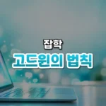 논쟁이 길어지면 히틀러가 나온다, 고드윈의 법칙(Godwin’s Law)