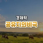 모두의 것이 아무의 것도 아닐 때, 공유지의 비극(Tragedy of the Commons)