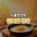 달걀흰자가 하얗게 굳는 이유, 단백질 변성(Protein Denaturation)