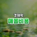 아까워서 멈추지 못한다, 매몰 비용의 오류(Sunk Cost Fallacy)