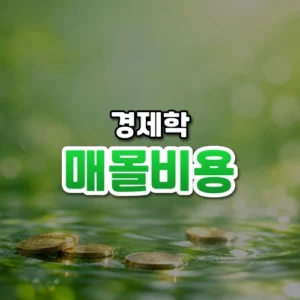 매몰비용 썸네일: 화면 아래쪽 흐릿한 물결 위에 동전 몇 개가 놓이고 초록빛이 위로 번져 가운데·위쪽에 글자를 올릴 여백이 있는 모습