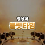 멈춘 시간 속을 도는 카메라, 불릿 타임(Bullet Time)
