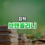 브랜돌리니 썸네일: 화면 아래쪽 책상 위에 높이 쌓인 서류 더미와 구겨진 쪽지 한 장, 돋보기 뒤로 초록빛이 위로 번져 가운데·위쪽에 글자를 올릴 여백이 있는 모습