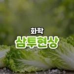 막 하나를 사이에 둔 물의 이동, 삼투 현상(Osmosis)