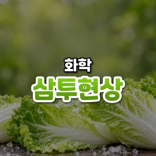 삼투현상 썸네일: 굵은 소금 알갱이와 물방울이 맺힌 싱싱한 배춧잎 위로 연둣빛이 번지는 모습