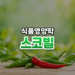 스코빌 썸네일: 화면 아래쪽 밝은 나무 위에 초록 고추 몇 개와 빨간 고추 하나가 놓이고, 초록빛이 위로 번져 가운데·위쪽에 글자를 올릴 여백이 있는 모습