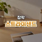 감출수록 더 퍼진다, 스트라이샌드 효과(Streisand Effect)